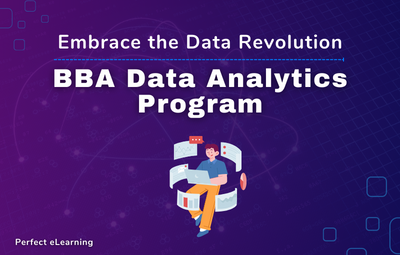 Embrace the Data Revolution: BBA Data Analytics Program