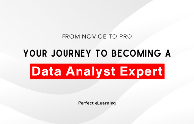 From Novice to Pro: to Becoming a Data Analyst ExpertYour Journey 