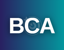 BCA with specialization in Digital Marketing  with 100% Placement